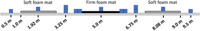 Enhancing Locomotor Learning With Transcutaneous Spinal Electrical Stimulation and Somatosensory Augmentation: A Pilot Randomized Controlled Trial in Older Adults